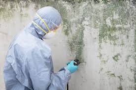 Reliable Sylacauga, AL Mold Removal Services Solutions